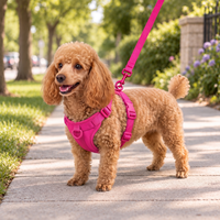 Bright Pink