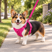 Bright Pink