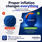 Navea™ Giant Ball