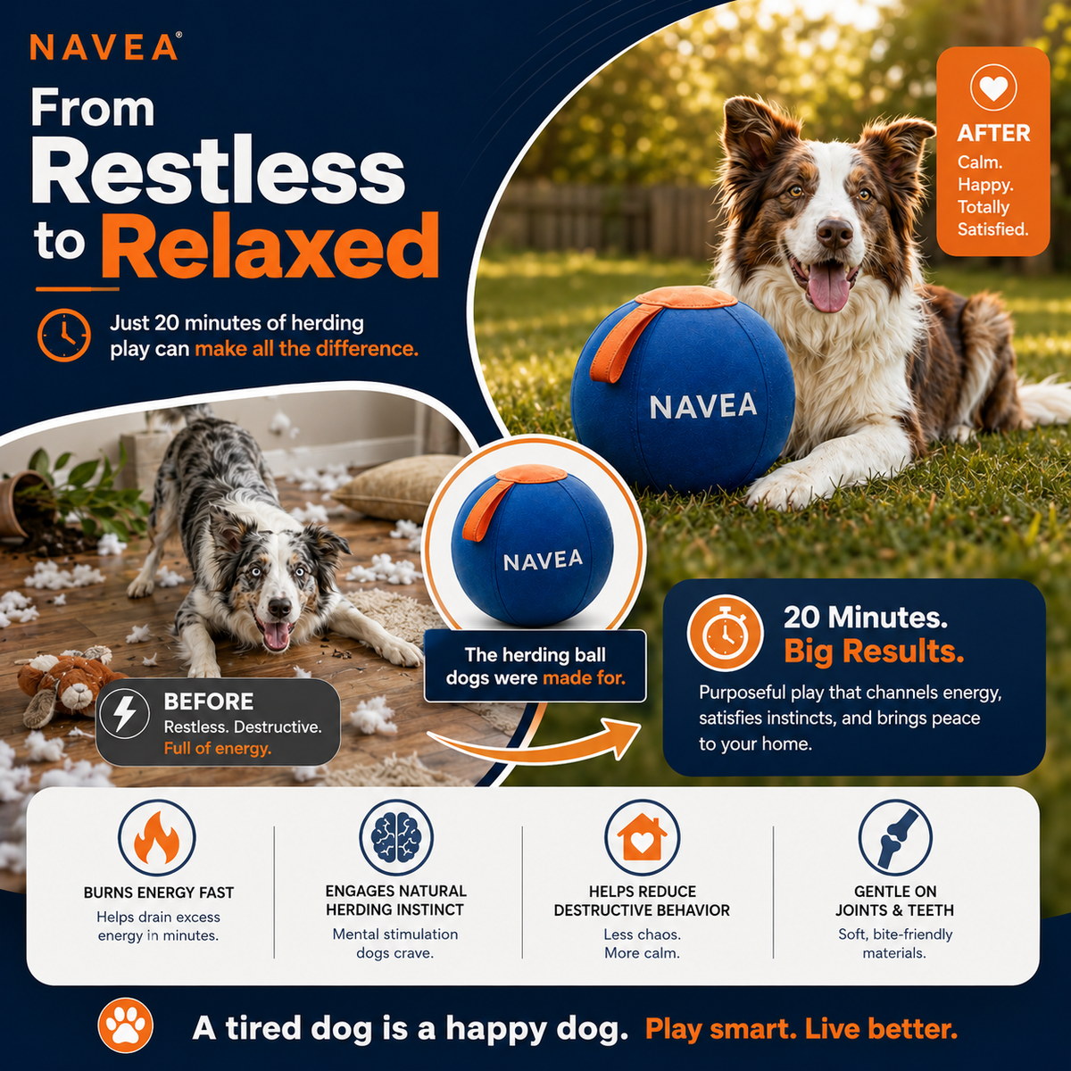 Your Dog Isn’t Misbehaving.