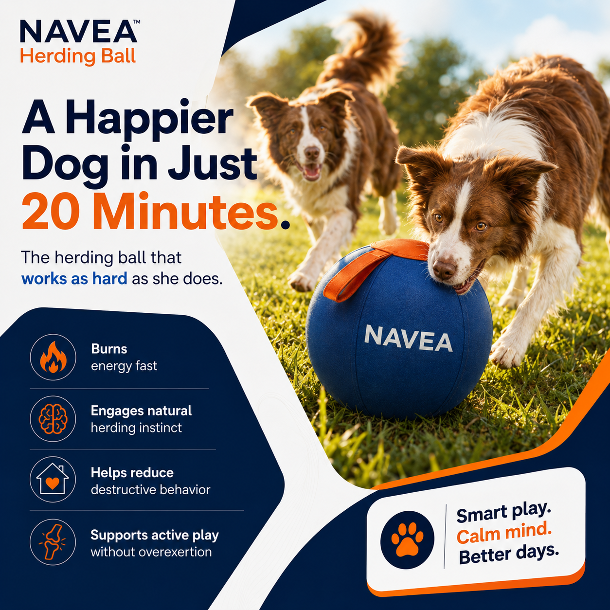Navea™ Giant Ball