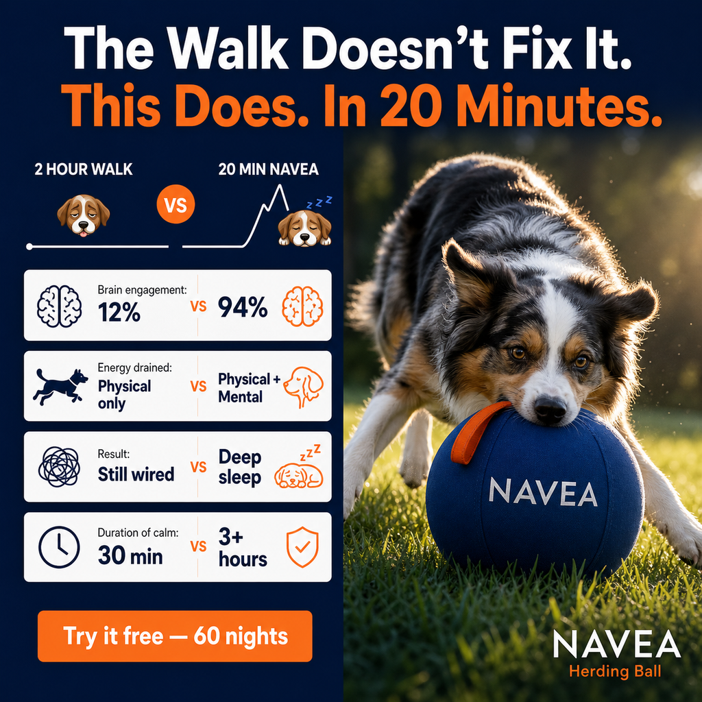 Navea™ Giant Ball