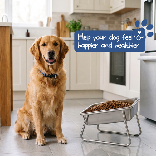 NAVEA™ Orthopedic Feeding Bowl Large