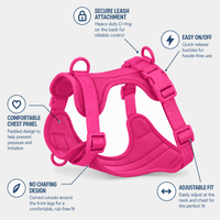 Bright Pink