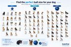 Navea™ Giant Ball