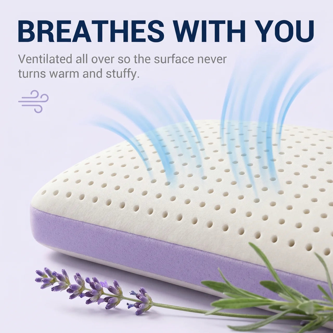 NAVEA Calma — Lavender Memory Foam